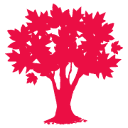 Maple Walk School